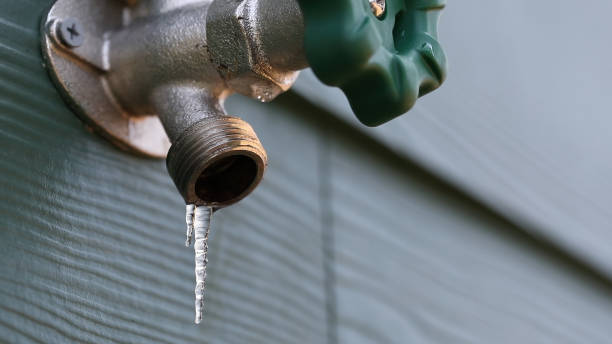 Best Clogged Drain Plumber  in Dawson, GA